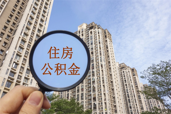 七台河公积金离职了可以提吗（公积金离职后可以提吗）